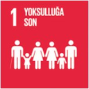 SDG 1 simgesi