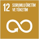 SDG 12 simgesi