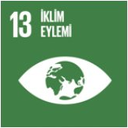 SDG 13 simgesi
