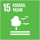 SDG 15 simgesi