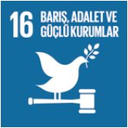 SDG 16 simgesi