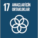 SDG 17 simgesi