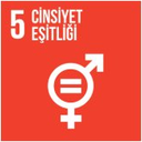 SDG 5 simgesi