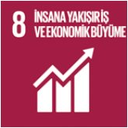 SDG 8 simgesi